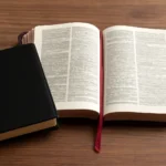 biblia católica comentada